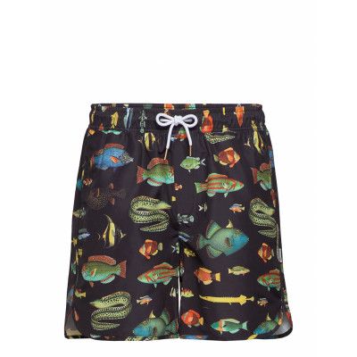 Swim Shorts Sandhamn Fish Badshorts Svart DEDICATED