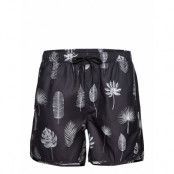 Swim Shorts Sandhamn Tropic Leaves Grey Badshorts Svart DEDICATED