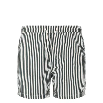 Virtus Cullen M Striped Board Shorts Khaki Green