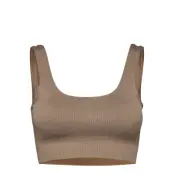 aim´n Espresso Ribbed Seamless Bra - Beige - XS