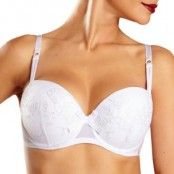 Chantelle Eclatante Demi T-Shirt Push-Up Bra * Fri Frakt *