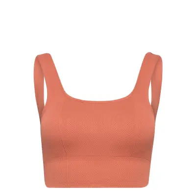 Luxe Seamless Bra Sport Bras & Tops Sports Bras - All Rosa AIM'N