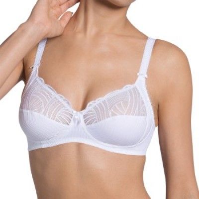 Triumph Modern Elegance N * Fri Frakt *