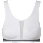 Trofe Carolina Sports Bra