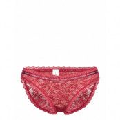 Bikini Trosa Brief Tanga Rosa Calvin Klein