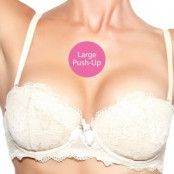 Freebra Push-Up Pads Large * Fri Frakt *