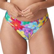 PrimaDonna Sazan Bikini Briefs Rio