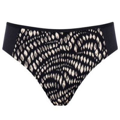 Triumph Kinetic Elegance Tai