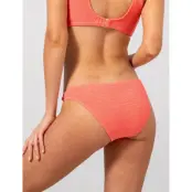 Understatement Underwear Ring Bikini Briefs - Coral - M