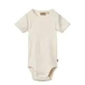 Wheat Rib Body S/S Lace Elisa - Cream - 56