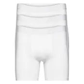 3-Pack Boxer Brief Extra Long Boxerkalsonger Vit Bread & Boxers