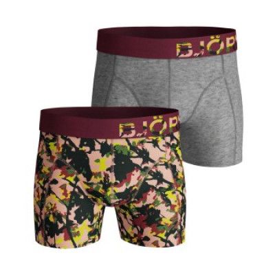 Björn Borg 2-pack Core Branch Shorts 1080 * Kampanj *