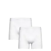 Björn Borg Organic Cotton Stretch Boxer 2P Vit