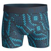 Björn Borg Shorts BB Nordic * Fri Frakt *