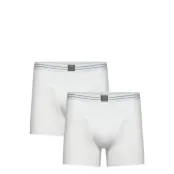 Björn Borg Viscose Cotton Blend Boxer 2P - White - S