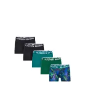 Core Boxer 5P *Villkorat Erbjudande Night & Underwear Underwear Underpants Multi/mönstrad Björn Borg