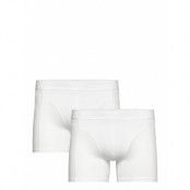 Premium Cotton Stretch Boxer 2P Boxerkalsonger White Björn Borg