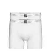 Shorts Original Sammy Original Solid Boxerkalsonger Vit Björn Borg