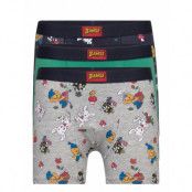 Boxer Bamse Aop 3 P Night & Underwear Underwear Underpants Grå Lindex