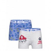 Paw Patrol Boxer Blå