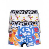 Boxer Night & Underwear Underwear Underpants Multi/mönstrad Disney