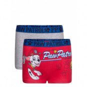 Boxer Night & Underwear Underwear Underpants Multi/patterned Paw Patrol