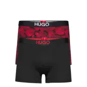 Boxerbr Brother Pack Boxerkalsonger Svart HUGO