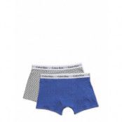 2 Pack Trunk Night & Underwear Underwear Underpants Grå Calvin Klein