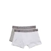 2 Pack Trunk *Villkorat Erbjudande Night & Underwear Underwear Underpants Grå Calvin Klein