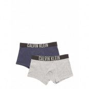 2 Pack Trunks Night & Underwear Underwear Underpants Grå Calvin Klein