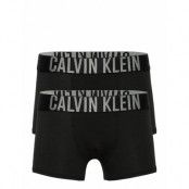 2 Pack Trunks Night & Underwear Underwear Underpants Svart Calvin Klein