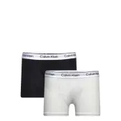 2Pk Trunk Night & Underwear Underwear Underpants Multi/mönstrad Calvin Klein
