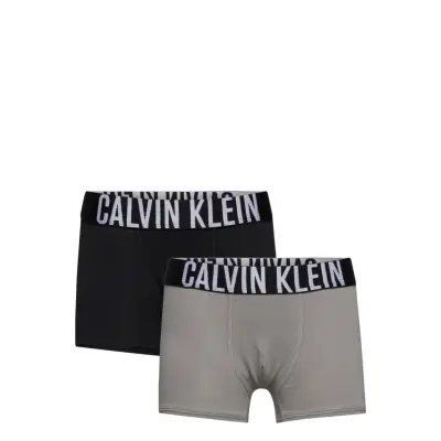 2Pk Trunk Night & Underwear Underwear Underpants Multi/mönstrad Calvin Klein