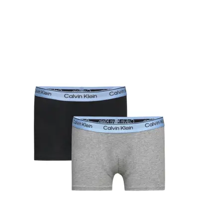 2Pk Trunk Night & Underwear Underwear Underpants Multi/patterned Calvin Klein