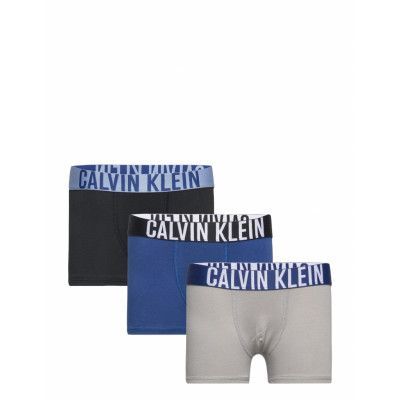 3Pk Trunk *Villkorat Erbjudande Night & Underwear Underwear Underpants Multi/mönstrad Calvin Klein