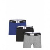 Calvin Klein 3Pk Trunk Multi/patterned