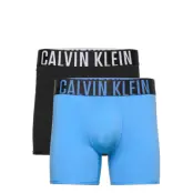 Boxer Brief 2Pk Boxerkalsonger Blå Calvin Klein