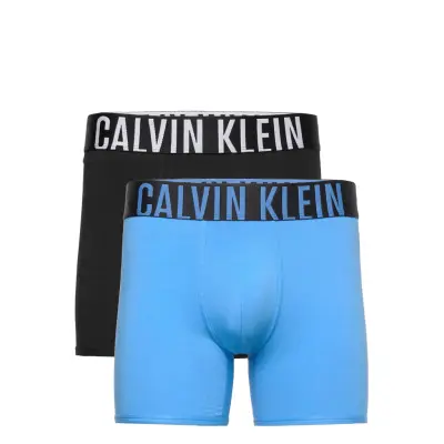 Boxer Brief 2Pk Boxerkalsonger Blå Calvin Klein