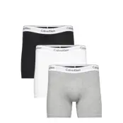 Boxer Brief 3Pk *Villkorat Erbjudande Boxerkalsonger Svart Calvin Klein