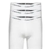 3P Boxer Brief *Villkorat Erbjudande Boxerkalsonger Vit Calvin Klein