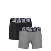 Calvin Klein 2Pk Boxer Brief Multi/patterned