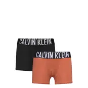 Calvin Klein 2Pk Trunk Svart