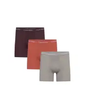 Calvin Klein Boxer Brief 3Pk Brun