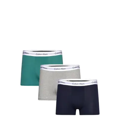 Calvin Klein Trunk 3Pk Multi/patterned