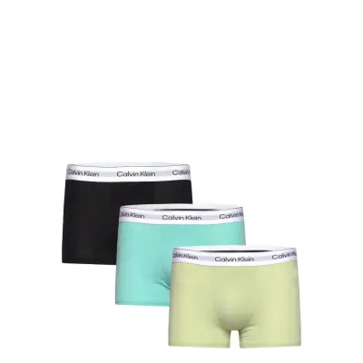 Calvin Klein Trunk 3Pk Multi/patterned