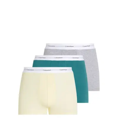 Calvin Klein Trunk 3Pk Multi/patterned