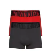 Trunk 2Pk *Villkorat Erbjudande Boxerkalsonger Multi/mönstrad Calvin Klein