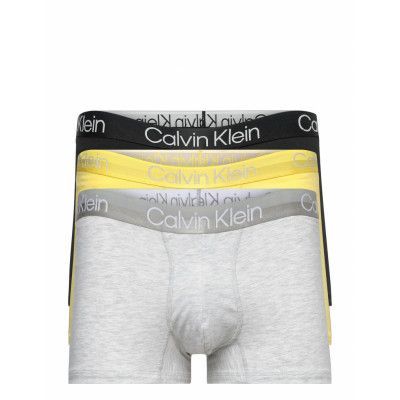 Trunk 3Pk *Villkorat Erbjudande Boxerkalsonger Grå Calvin Klein