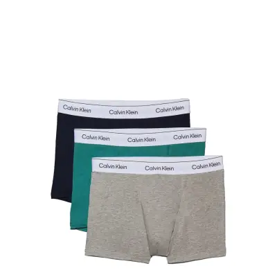 Calvin Klein Trunk 3Pk Multi/patterned