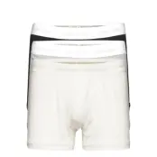 Trunk 3Pk *Villkorat Erbjudande Boxerkalsonger Vit Calvin Klein